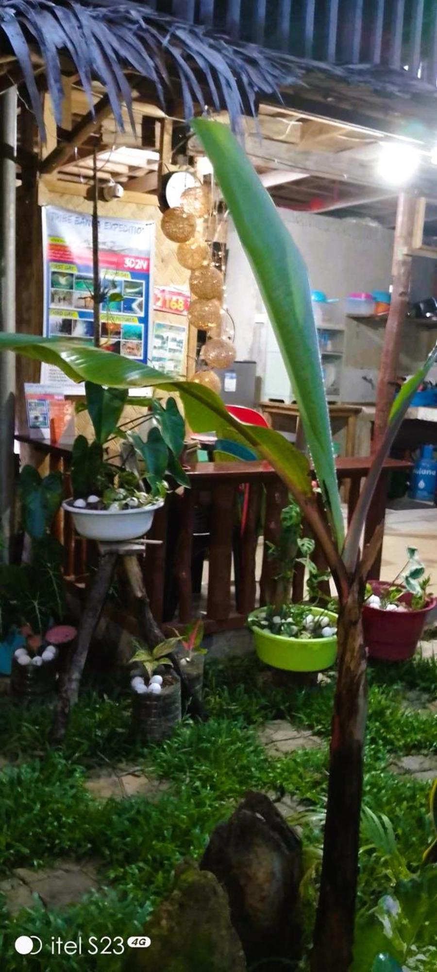 Alfa Garden Lodge เอลนิโด ภายนอก รูปภาพ